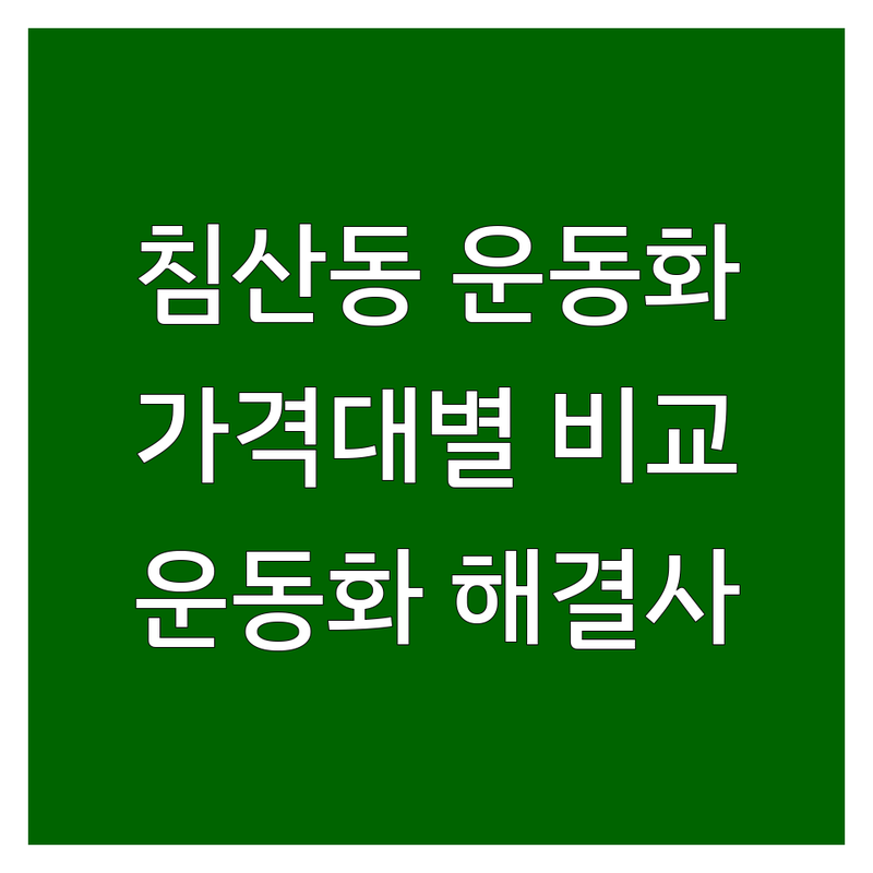 대구 침산동 운동화 찾고 계신가요? 운동화 해결사 | 가격대별 비교 분석