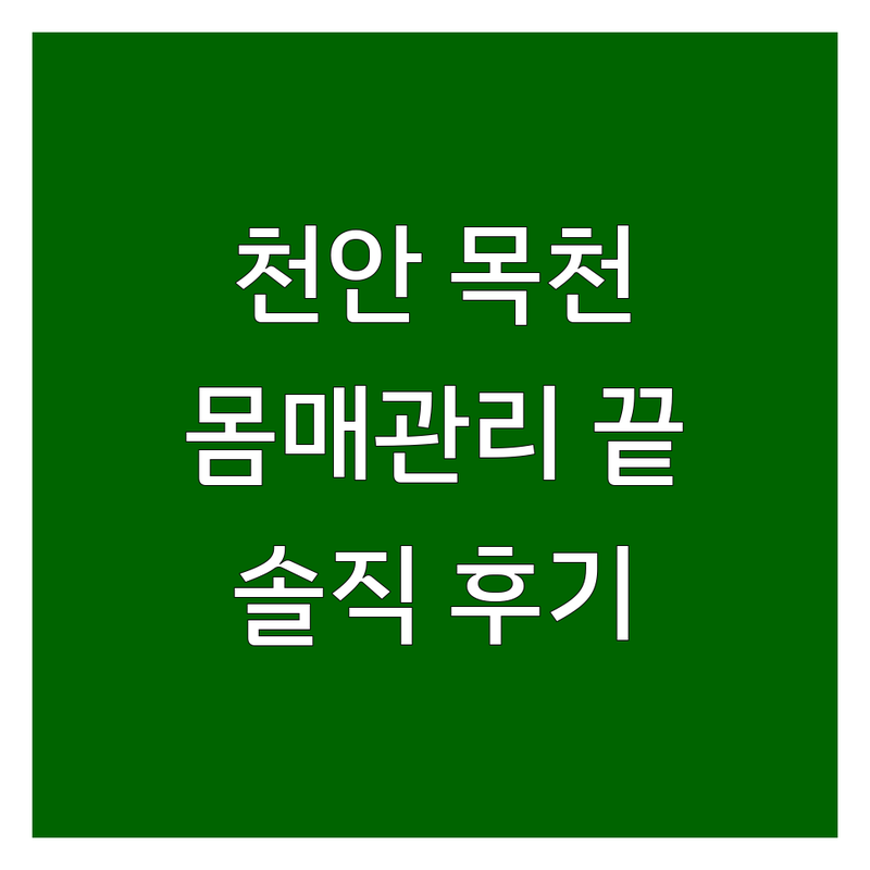 천안 목천읍 몸매관리 잘하는 곳 추천 | 피부 체형관리 비용 가격 저렴한 곳 | 바디케어 경락마사지 아로마테라피 | 출장마사지 솔직 후기 | 내돈내산 찐경험담