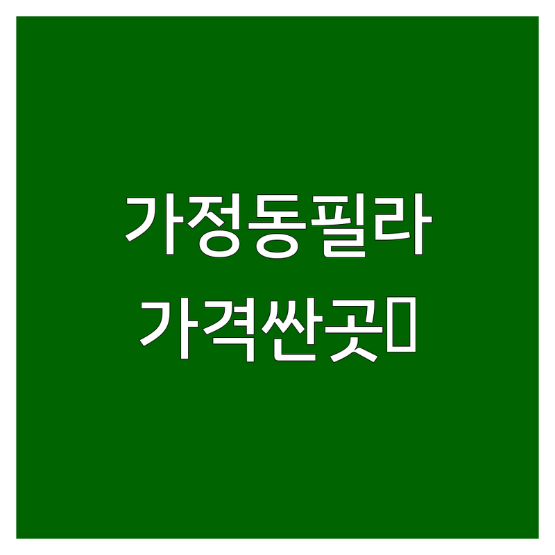 가정동 필라테스 저렴한 곳 가격싼 곳 업체 추천 | 체형교정 다이어트 잘하는 곳 | 개인레슨 듀엣레슨 그룹레슨 | 재활 임산부 키즈 필라테스 | 주차 방문후기 전문 강사진