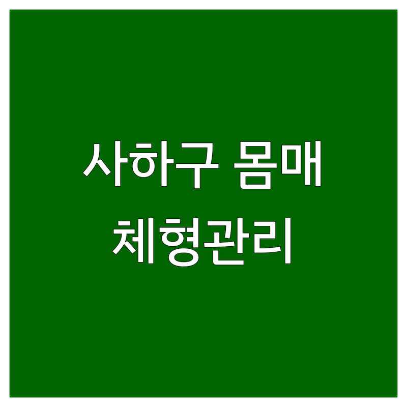 부산 사하구 몸매관리 저렴한 곳 업체 추천 | 체형관리 비용 가격 잘하는 곳 | 피부관리 뱃살관리 등관리 | 전문가 상담 첫방문 할인 예약