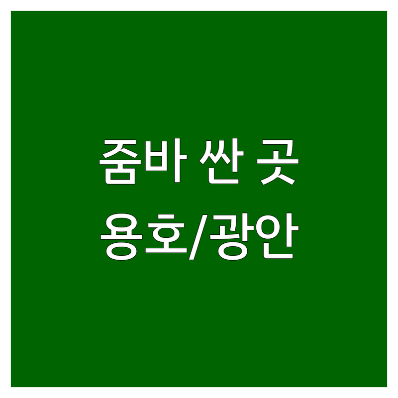 부산 용호동 광안동 줌바 저렴한 곳 가격싼 곳 업체 추천 | 줌바 댄스 피트니스 GX 수업 비용 가격 잘하는 곳 | 다이어트 유산소 운동 그룹수업 | 스트레스 해소 신나는 운동 | 주차 가능 샤워실 편의시설