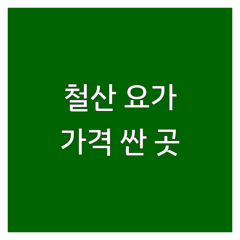 광명시 철산동 요가원 저렴한 곳 가격싼 곳 업체 추천 | 요가 학원 비용 가격 잘하는 곳 | 핫요가 빈야사 아쉬탕가 체형교정 요가 | 다이어트 PT GX 스피닝 줌바 | 무료상담 주차가능 연중무휴