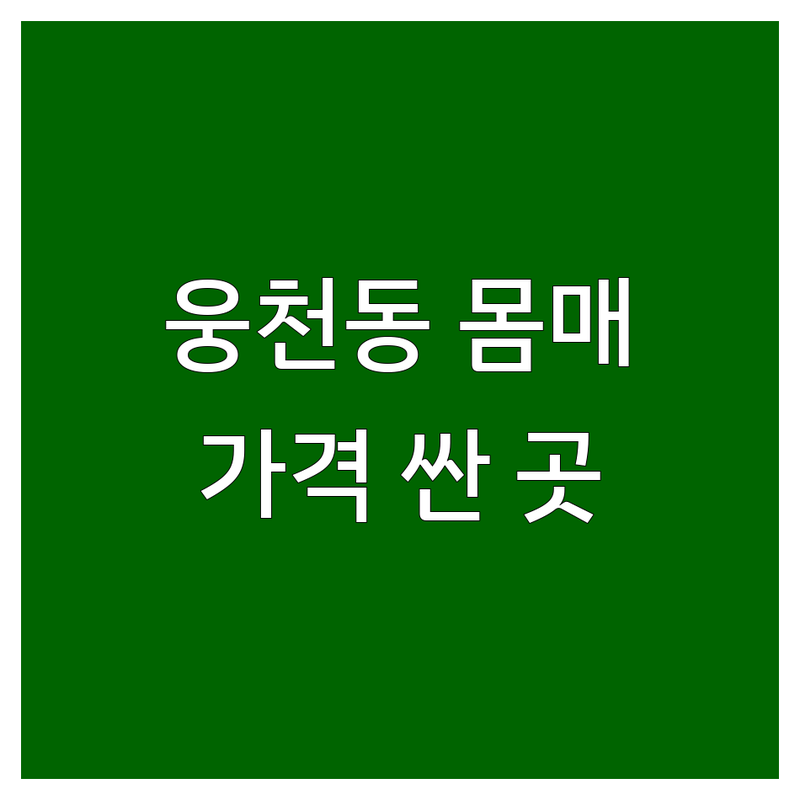 여수 웅천동 몸매관리 저렴한 곳 가격싼 곳 업체 추천 | 체형관리 피부관리 비용 가격 잘하는 곳 | 타이마사지 아로마마사지 속눈썹펌 | 웨딩케어 전문가상담 무료견적 | 주차가능 1인샵 예약제