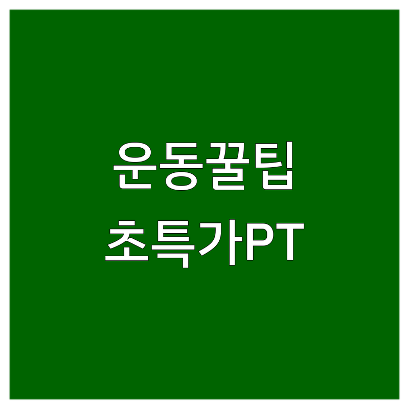 울산 청주 구로 운동방법 저렴한 곳 가격싼 곳 업체 추천 | 필라테스 크로스핏 요가 비용 가격 잘하는 곳 | 체형교정 재활 다이어트 홈트 | 기초체력 향상 근력강화 유산소 | 운동팁 초보자 가이드 개인PT