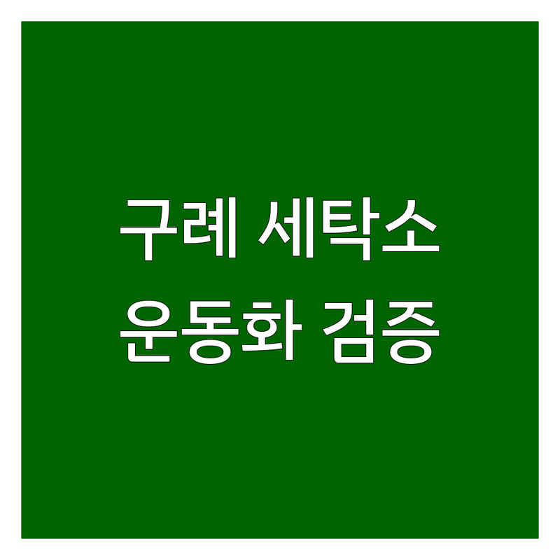실제 이용자가 검증한 구례 세탁소 운동화 | 별점 높은 곳만 엄선