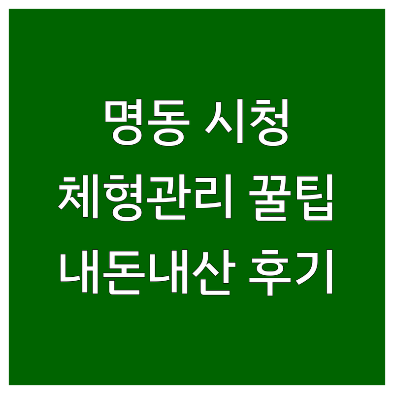 명동 시청역 몸매관리 저렴한 곳 가격싼 곳 업체 추천 | 피부체형관리 마사지 비용 가격 잘하는 곳 | 발관리 아로마관리 슬림바디 경락 얼굴관리 | 내돈내산 솔직후기 꿀팁 비교분석