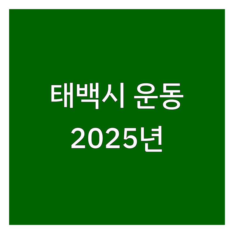 강원 태백시 운동 베스트 선택 | 2025년 최신 순위 정리