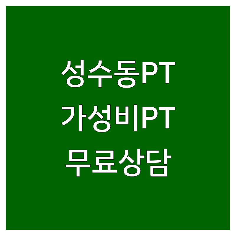 서울 성수동 성신여대 트레이너 추천 저렴한 곳 | 개인 PT 가격 비용 전문 업체 잘하는 곳 | 체력증진 다이어트 자세교정 | 운동 습관 만들기 동기 부여 무료 상담 | 헬스장 피티 후기 팁