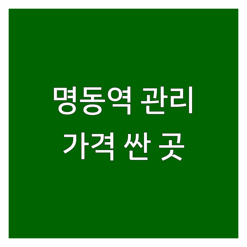 서울 중구 명동역 피부관리 체형관리 저렴한 곳 가격싼 곳 업체 추천 | 몸매관리 왁싱 속눈썹펌 발관리 비용 가격 잘하는 곳 | 마사지 도수치료 골반교정 | 꼼꼼한 시술 친절한 상담 | 솔직 후기 예약제 정보