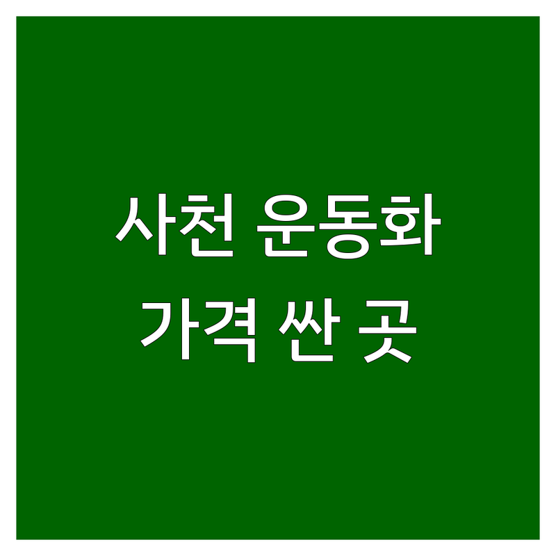 사천시 운동화 세탁 저렴한 곳 가격싼 곳 업체 추천 | 운동화 세탁 비용 가격 잘하는 곳 | 운동화 전문 세탁 이불 세탁 드라이클리닝 | 24시 셀프 빨래방 수거 배달 | 친절한 서비스 주차 가능