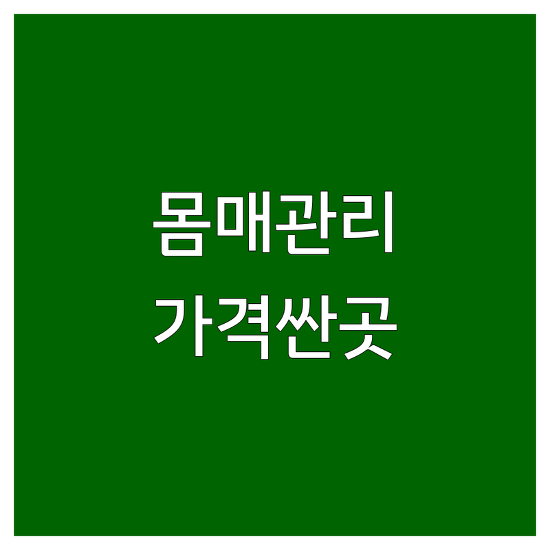 시청역 광화문역 종각역 몸매관리 저렴한 곳 가격싼 곳 업체 추천 | 피부관리 체형관리 비용 가격 잘하는 곳 | 리프팅 웨딩관리 윤곽축소 발관리 | 마사지 스파 에스테틱 | 예약 주차 방문수거