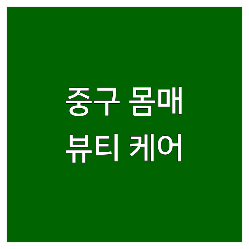 서울 중구 몸매관리 잘하는 곳 추천 | 시청역 을지로입구역 피부관리 체형관리 비용 가격 | 슬림바디 얼굴관리 스파 마사지 | 뷰티케어 다이어트 탄력 리프팅 | 웨딩관리 산모관리 피부탄력 안티에이징 경락