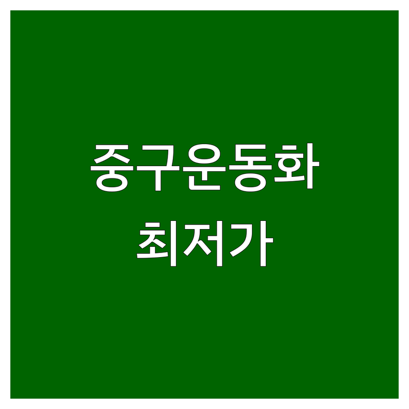 서울 중구 운동화 저렴한 곳 가격싼 곳 업체 추천 | 운동화 스니커즈 러닝화 비용 가격 잘하는 곳 | 편한신발 가성비운동화 할인매장 | 스포츠용품점 패션잡화 | 발편한운동화 트렌디운동화 한정판운동화