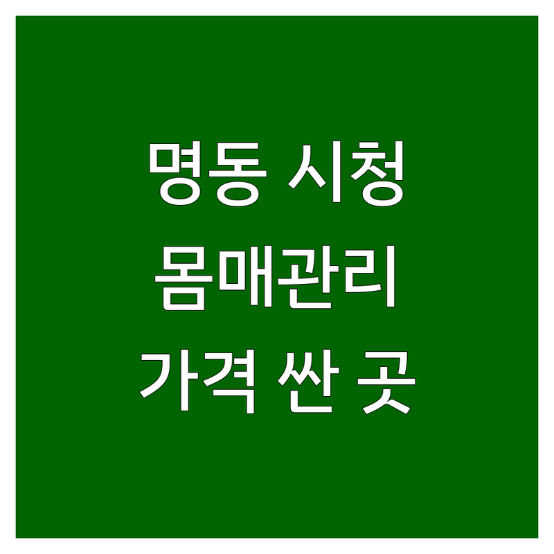 명동 시청 몸매관리 저렴한 곳 가격싼 곳 업체 추천 | 바디케어 비용 가격 잘하는 곳 | 발관리 피부관리 체형관리 | 아로마마사지 전신마사지 | 주차가능 예약필수