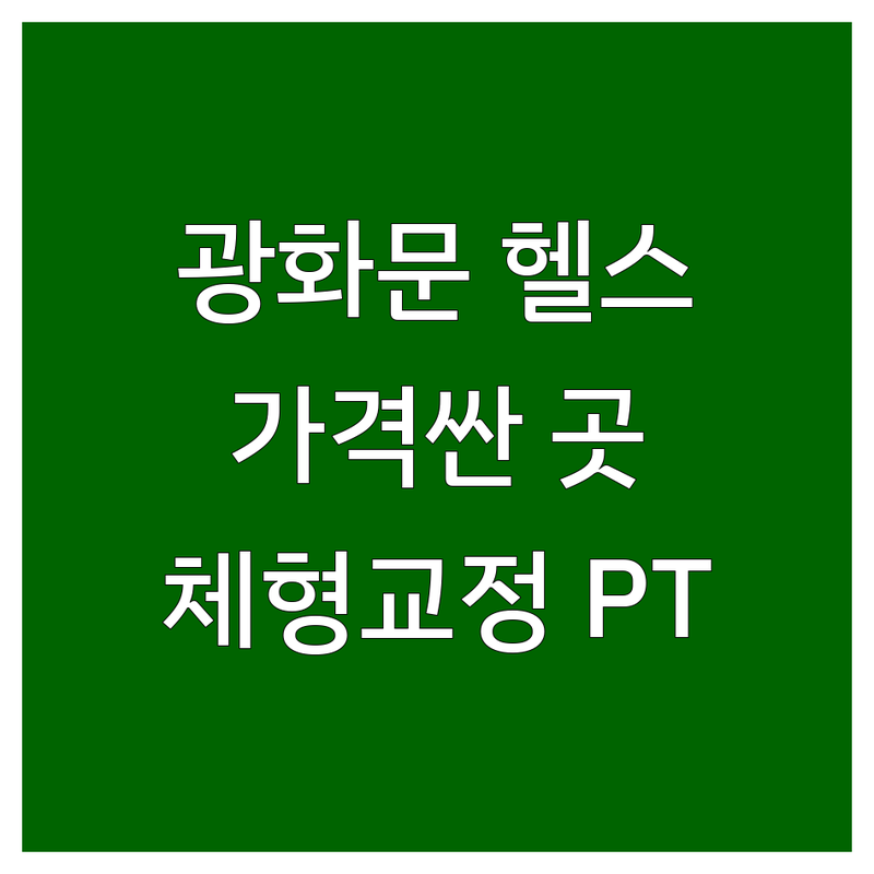 서울 광화문역 시청역 헬스장 저렴한 곳 가격싼 곳 업체 추천 | PT 비용 가격 잘하는 곳 | 크로스핏 그룹PT 개인레슨 | 체형교정 다이어트 바디프로필 골프레슨 | 24시간 주차 샤워실 사우나